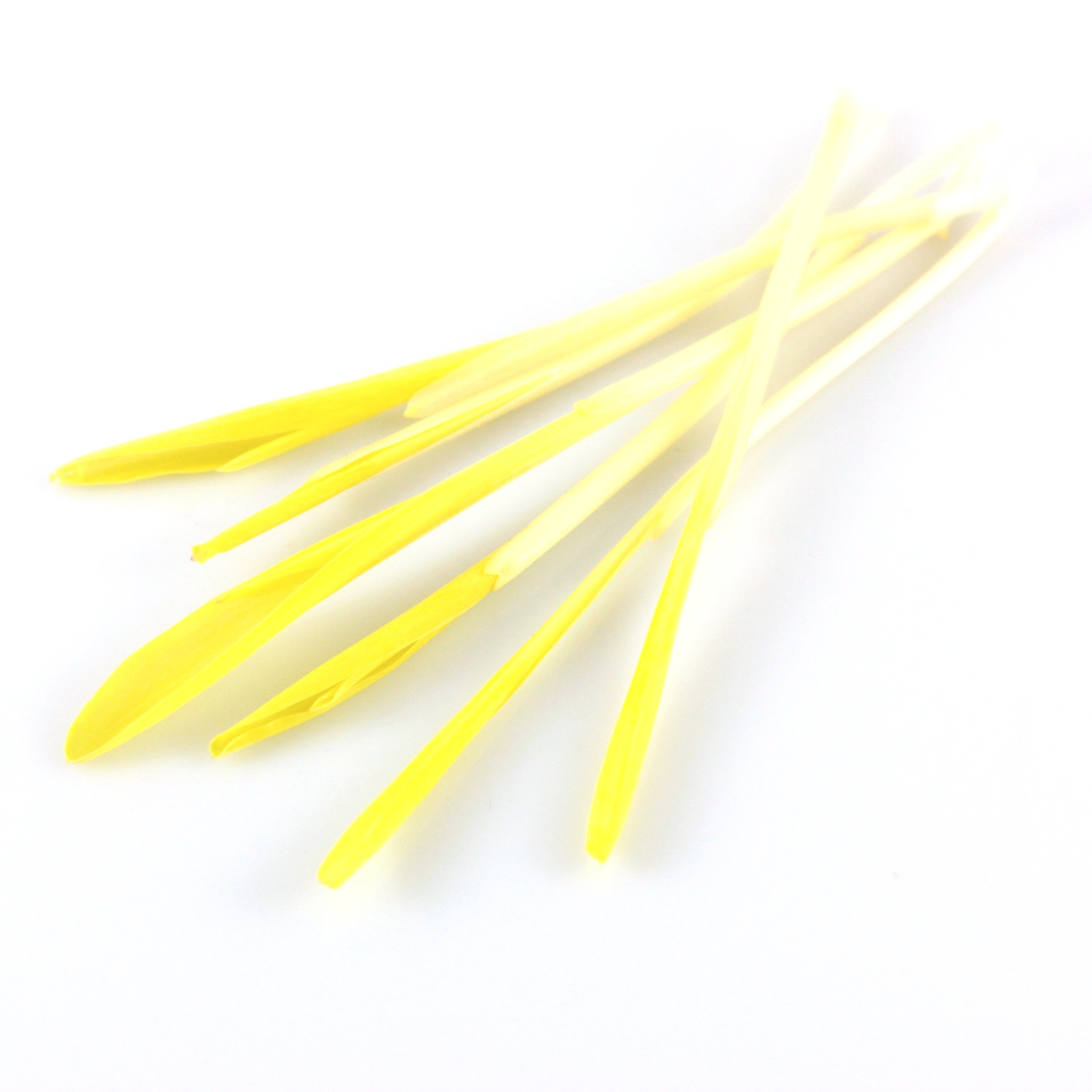 Kukurica corn shots na microgreens 1kg